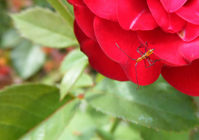 Bruce notices the minute details.